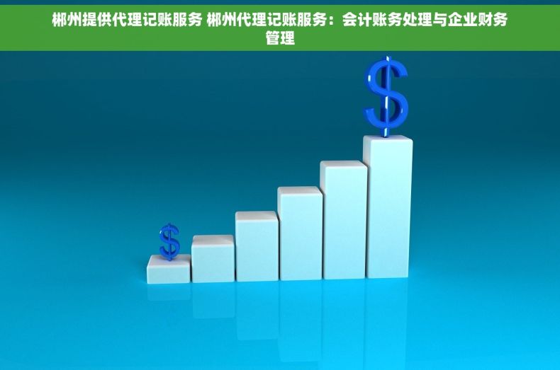 郴州提供代理记账服务 郴州代理记账服务：会计账务处理与企业财务管理