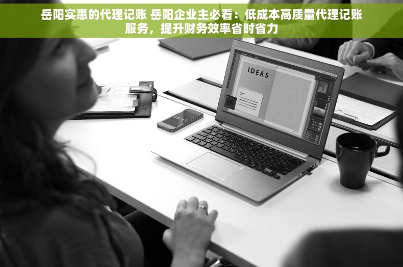 岳阳实惠的代理记账 岳阳企业主必看：低成本高质量代理记账服务，提升财务效率省时省力