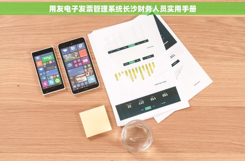 用友电子发票管理系统长沙财务人员实用手册