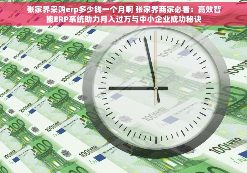 张家界采购erp多少钱一个月啊 张家界商家必看：高效智能ERP系统助力月入过万与中小企业成功秘诀