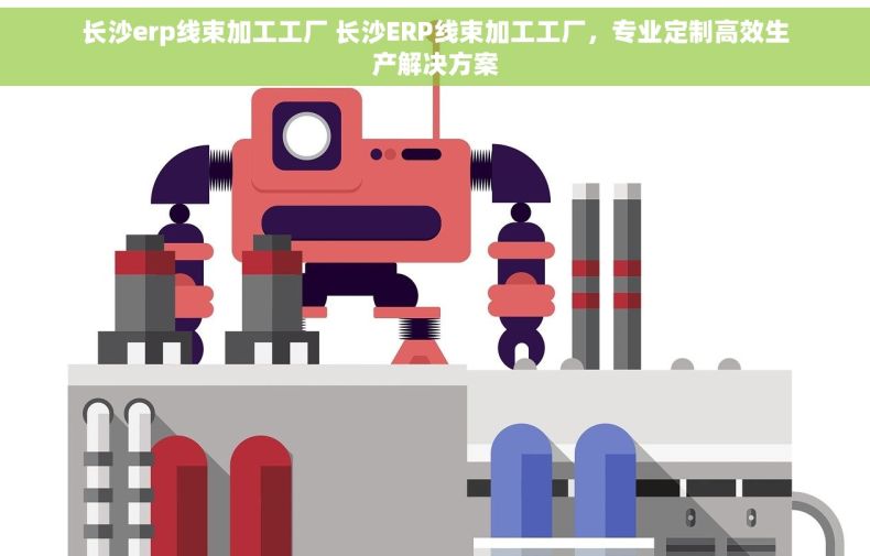 长沙erp线束加工工厂 长沙ERP线束加工工厂，专业定制高效生产解决方案