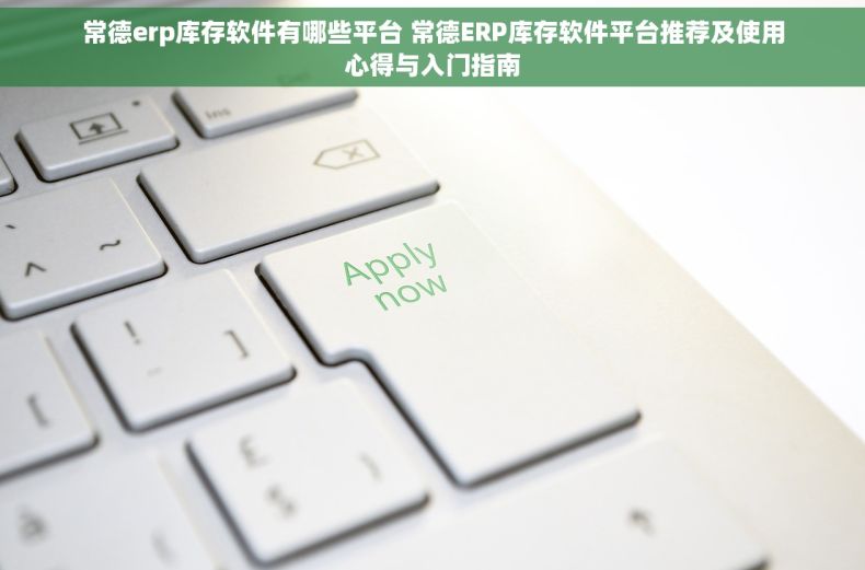 常德erp库存软件有哪些平台 常德ERP库存软件平台推荐及使用心得与入门指南