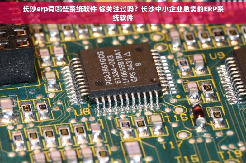 长沙erp有哪些系统软件 你关注过吗？长沙中小企业急需的ERP系统软件