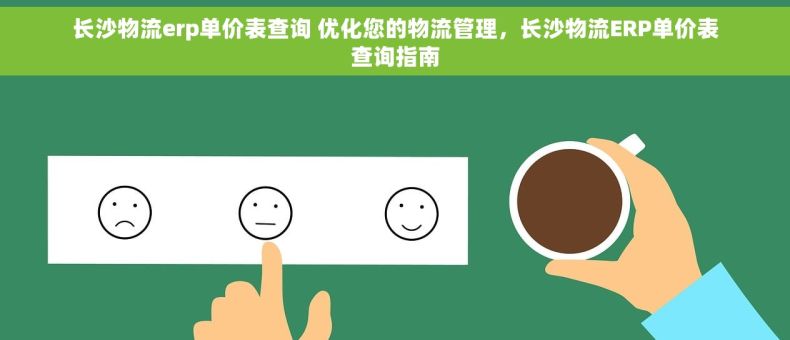 长沙物流erp单价表查询 优化您的物流管理，长沙物流ERP单价表查询指南