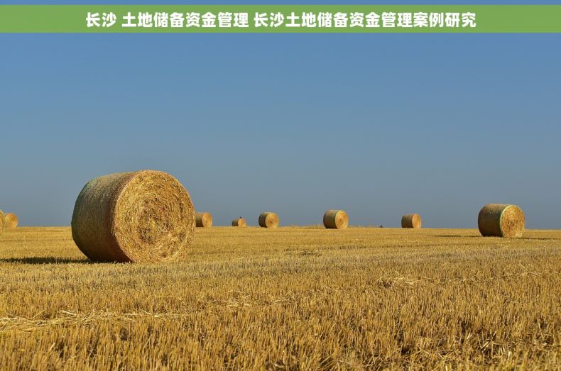 长沙 土地储备资金管理 长沙土地储备资金管理案例研究