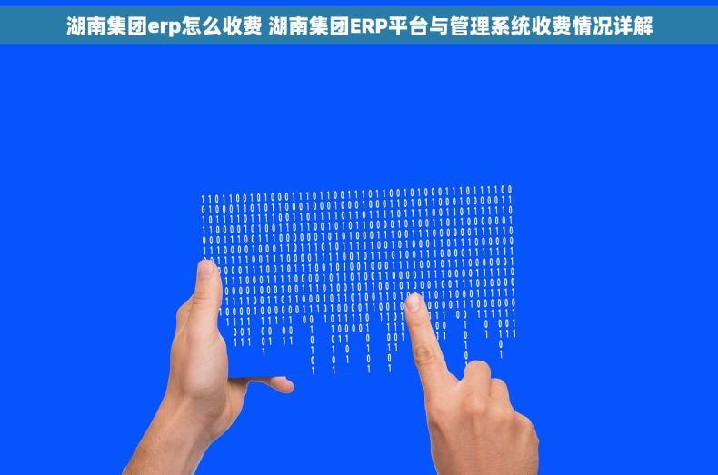 湖南集团erp怎么收费 湖南集团ERP平台与管理系统收费情况详解