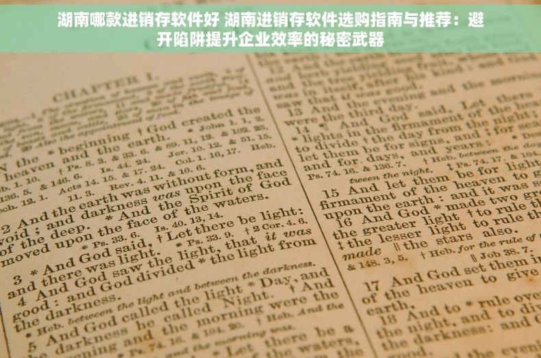 湖南哪款进销存软件好 湖南进销存软件选购指南与推荐：避开陷阱提升企业效率的秘密武器