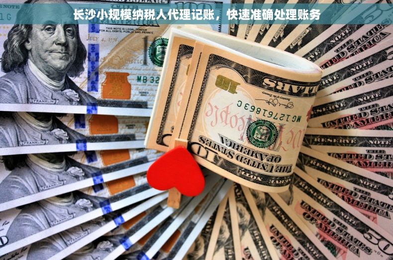 长沙小规模纳税人代理记账，快速准确处理账务