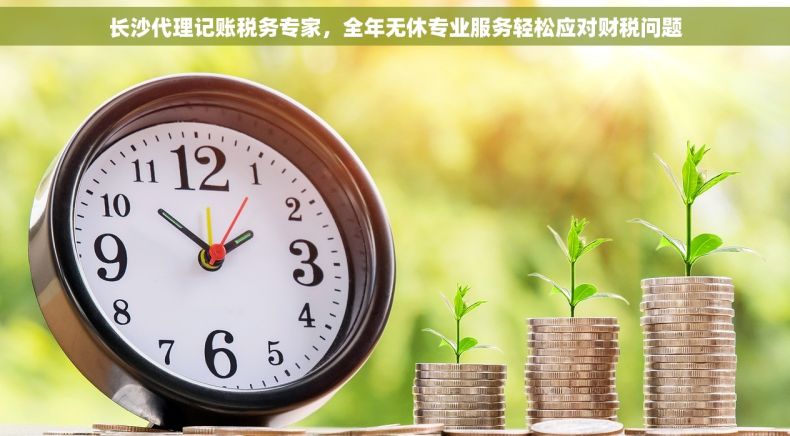长沙代理记账税务专家，全年无休专业服务轻松应对财税问题