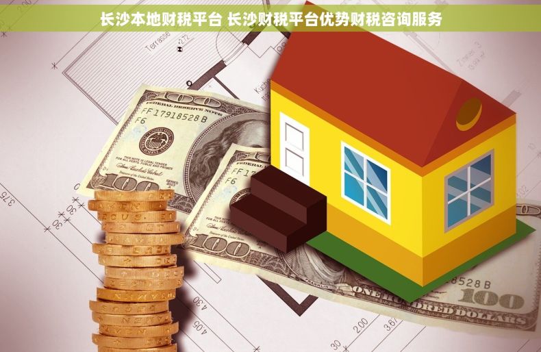 长沙本地财税平台 长沙财税平台优势财税咨询服务