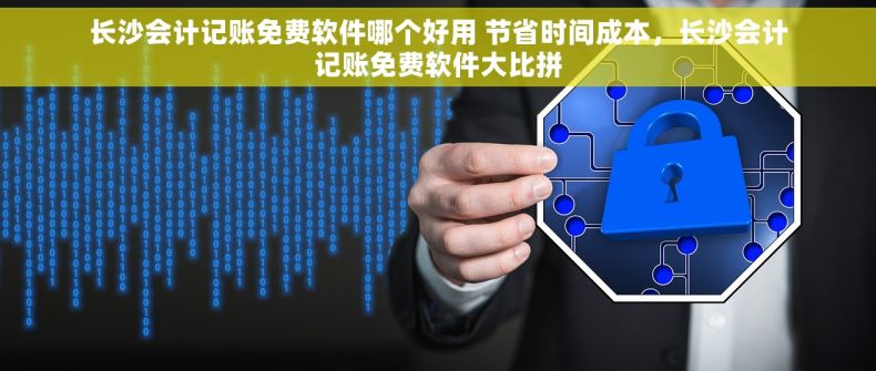 长沙会计记账免费软件哪个好用 节省时间成本，长沙会计记账免费软件大比拼