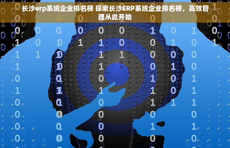 长沙erp系统企业排名榜 探索长沙ERP系统企业排名榜，高效管理从此开始