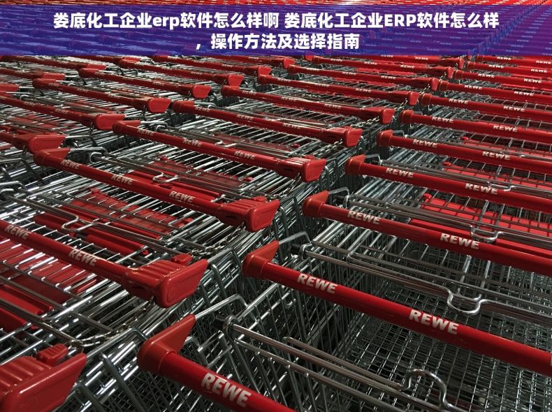 娄底化工企业erp软件怎么样啊 娄底化工企业ERP软件怎么样，操作方法及选择指南
