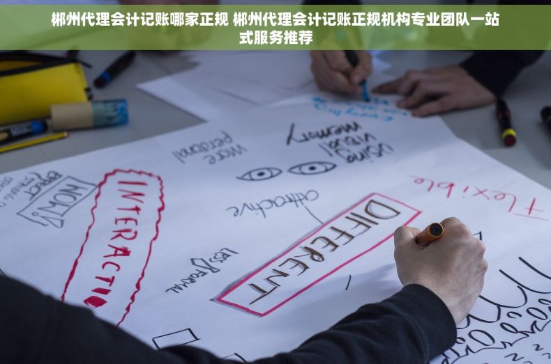 郴州代理会计记账哪家正规 郴州代理会计记账正规机构专业团队一站式服务推荐