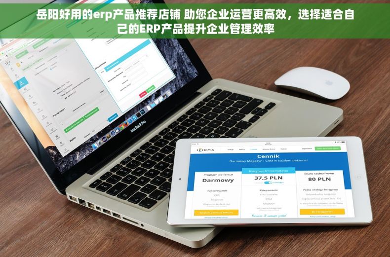岳阳好用的erp产品推荐店铺 助您企业运营更高效，选择适合自己的ERP产品提升企业管理效率