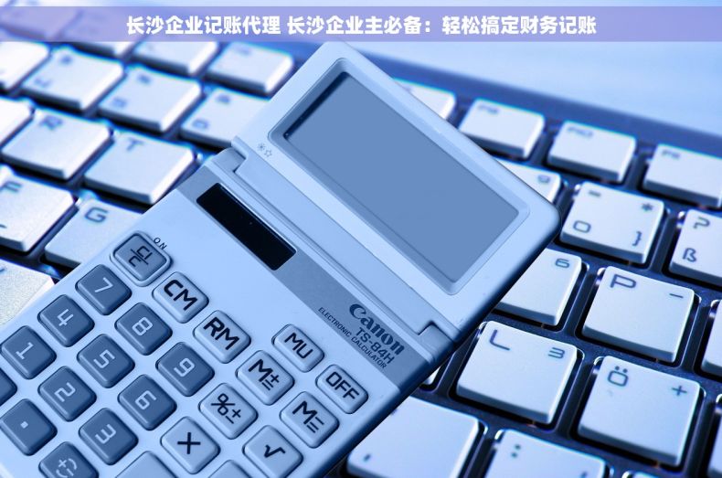 长沙企业记账代理 长沙企业主必备：轻松搞定财务记账