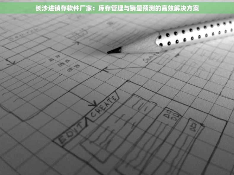 长沙进销存软件厂家：库存管理与销量预测的高效解决方案