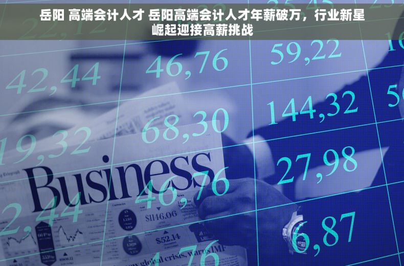 岳阳 高端会计人才 岳阳高端会计人才年薪破万，行业新星崛起迎接高薪挑战