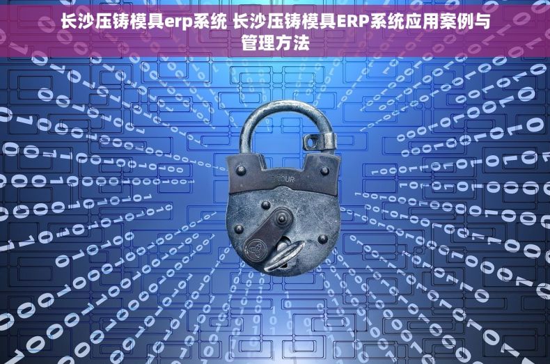 长沙压铸模具erp系统 长沙压铸模具ERP系统应用案例与管理方法