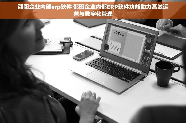 邵阳企业内部erp软件 邵阳企业内部ERP软件功能助力高效运营与数字化管理