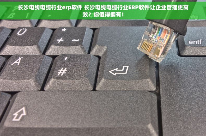 长沙电线电缆行业erp软件 长沙电线电缆行业ERP软件让企业管理更高效？你值得拥有！