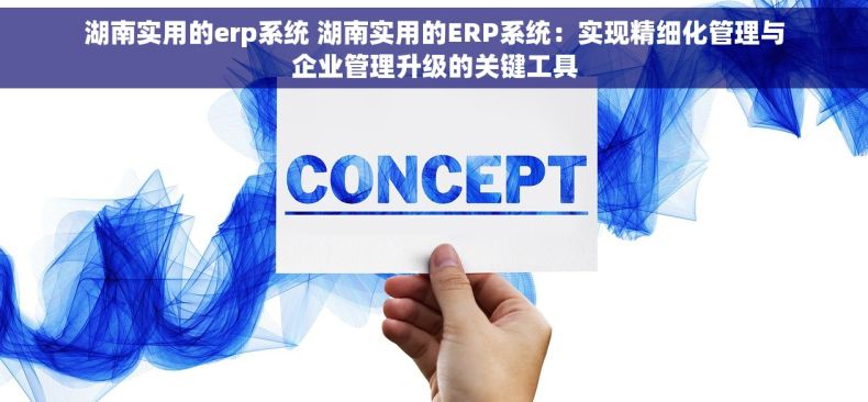湖南实用的erp系统 湖南实用的ERP系统：实现精细化管理与企业管理升级的关键工具