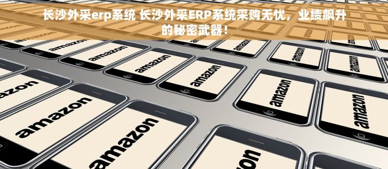 长沙外采erp系统 长沙外采ERP系统采购无忧，业绩飙升的秘密武器！