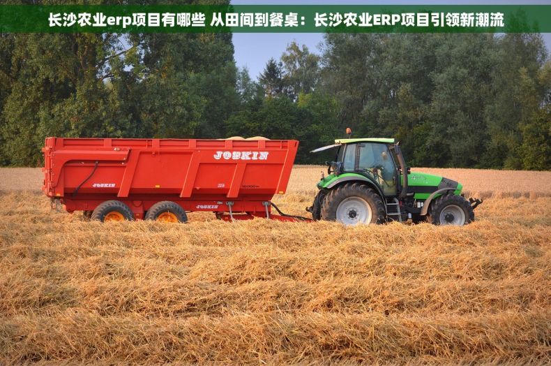 长沙农业erp项目有哪些 从田间到餐桌：长沙农业ERP项目引领新潮流