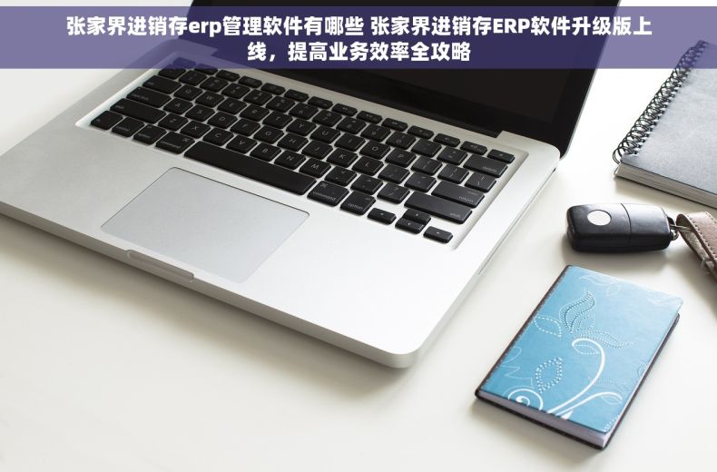 张家界进销存erp管理软件有哪些 张家界进销存ERP软件升级版上线，提高业务效率全攻略