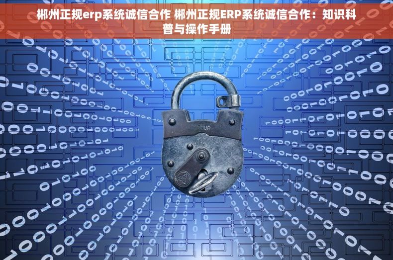郴州正规erp系统诚信合作 郴州正规ERP系统诚信合作：知识科普与操作手册