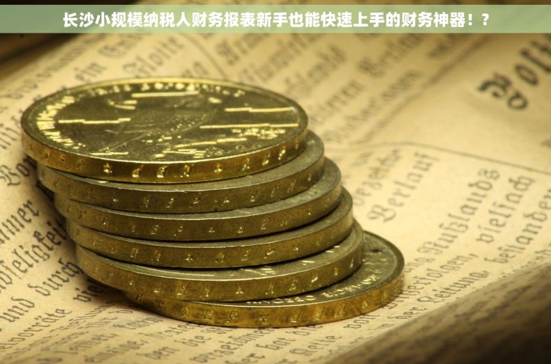长沙小规模纳税人财务报表新手也能快速上手的财务神器！?