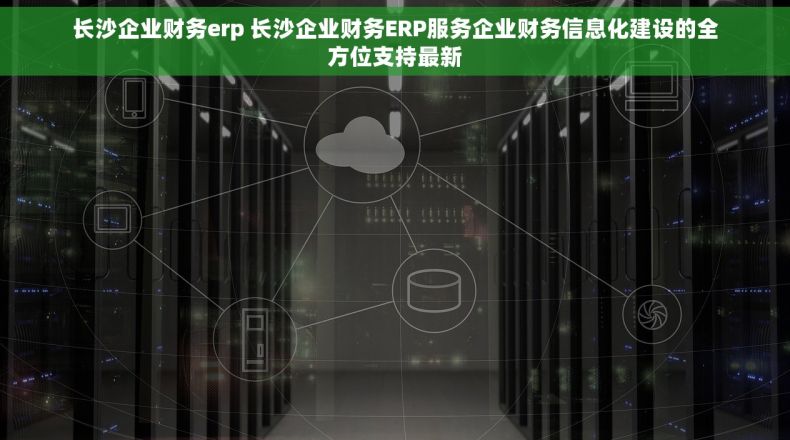 长沙企业财务erp 长沙企业财务ERP服务企业财务信息化建设的全方位支持最新