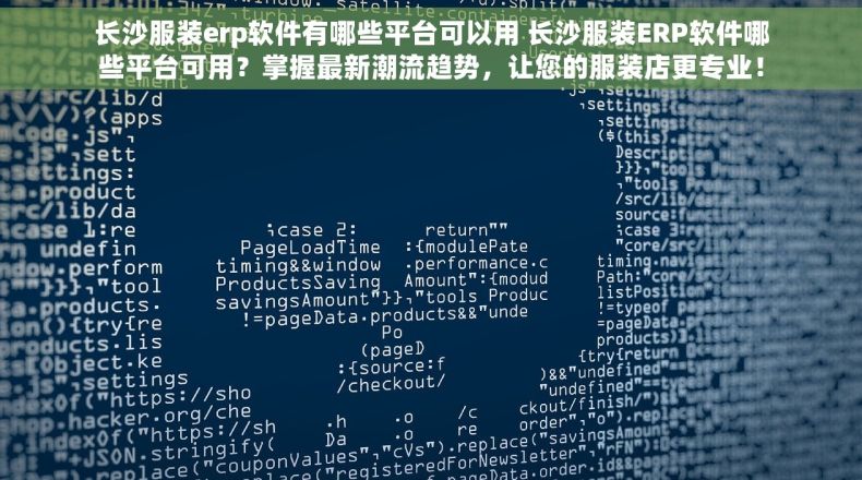 长沙服装erp软件有哪些平台可以用 长沙服装ERP软件哪些平台可用？掌握最新潮流趋势，让您的服装店更专业！