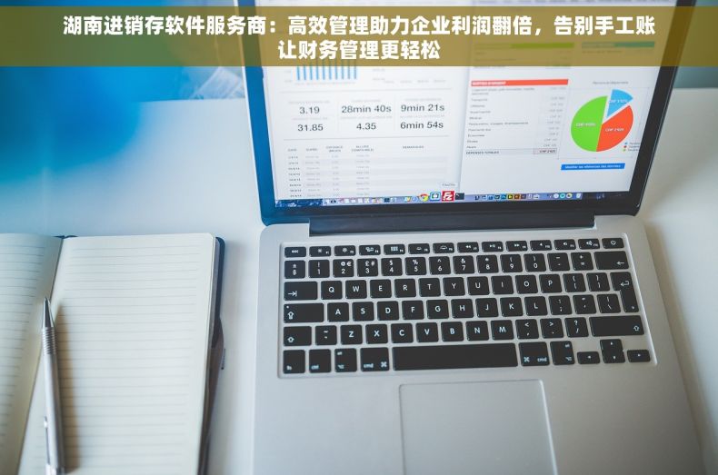 湖南进销存软件服务商：高效管理助力企业利润翻倍，告别手工账让财务管理更轻松