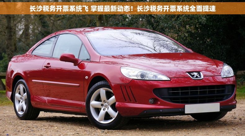 长沙税务开票系统飞 掌握最新动态！长沙税务开票系统全面提速