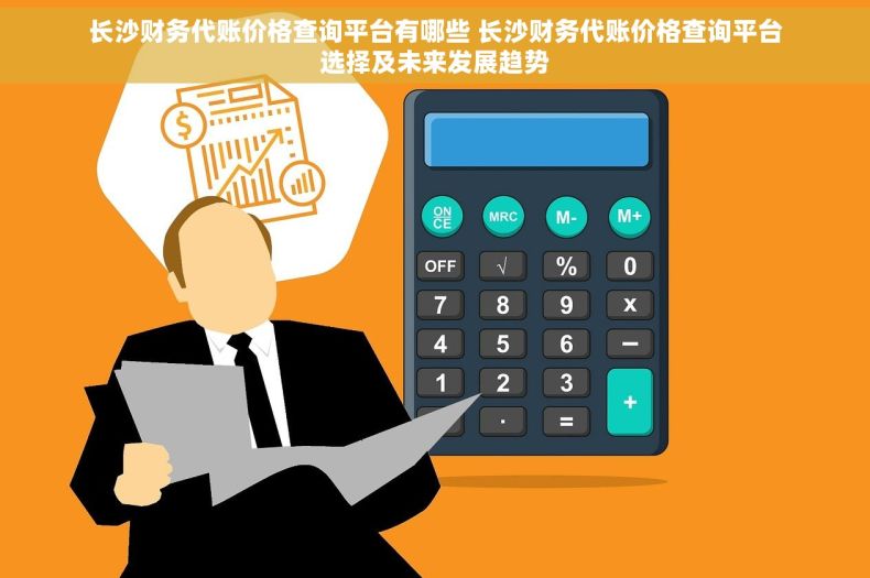 长沙财务代账价格查询平台有哪些 长沙财务代账价格查询平台选择及未来发展趋势