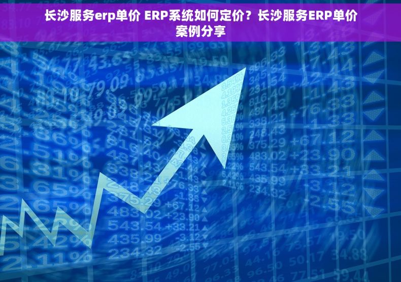 长沙服务erp单价 ERP系统如何定价？长沙服务ERP单价案例分享