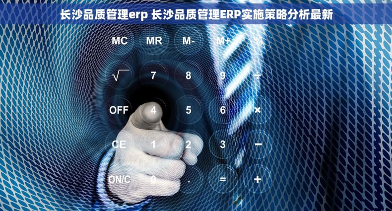 长沙品质管理erp 长沙品质管理ERP实施策略分析最新