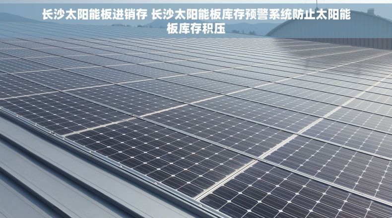 长沙太阳能板进销存 长沙太阳能板库存预警系统防止太阳能板库存积压