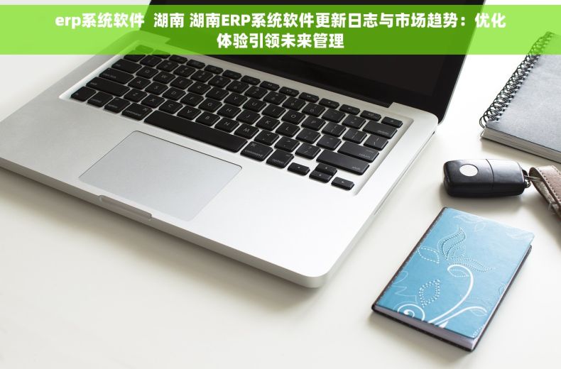 erp系统软件  湖南 湖南ERP系统软件更新日志与市场趋势：优化体验引领未来管理