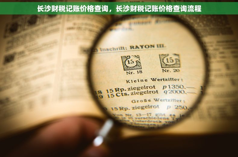 长沙财税记账价格查询，长沙财税记账价格查询流程