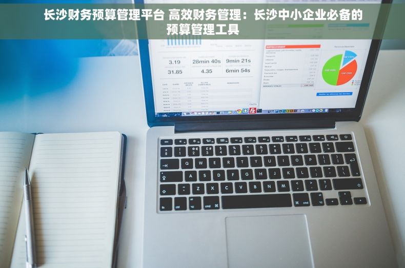 长沙财务预算管理平台 高效财务管理：长沙中小企业必备的预算管理工具