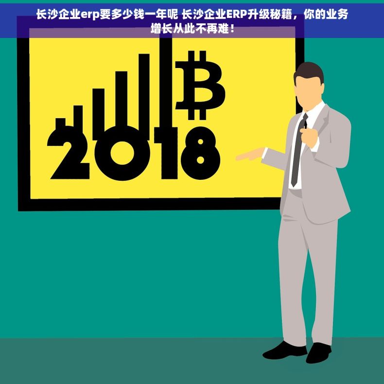 长沙企业erp要多少钱一年呢 长沙企业ERP升级秘籍，你的业务增长从此不再难！