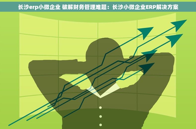 长沙erp小微企业 破解财务管理难题：长沙小微企业ERP解决方案