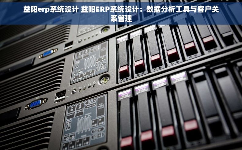 益阳erp系统设计 益阳ERP系统设计：数据分析工具与客户关系管理