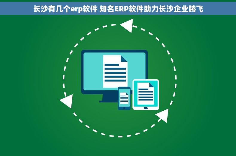 长沙有几个erp软件 知名ERP软件助力长沙企业腾飞