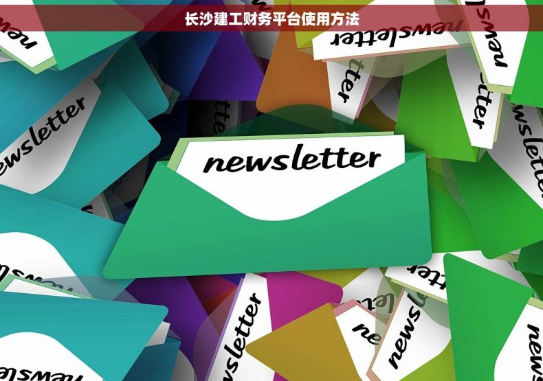 长沙建工财务平台使用方法
