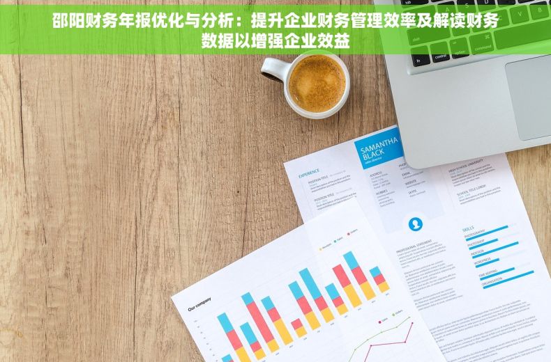 邵阳财务年报优化与分析：提升企业财务管理效率及解读财务数据以增强企业效益