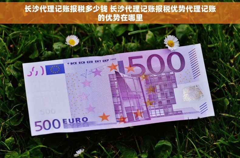 长沙代理记账报税多少钱 长沙代理记账报税优势代理记账的优势在哪里