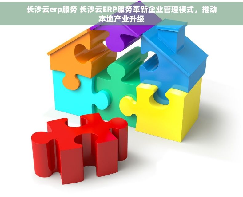 长沙云erp服务 长沙云ERP服务革新企业管理模式，推动本地产业升级